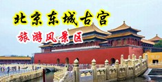表面清纯其实就是个骚逼韩国主播外流中国北京-东城古宫旅游风景区